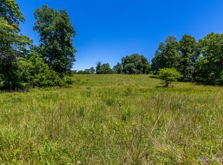 1 County Rd #360, Thayer, MO 65791