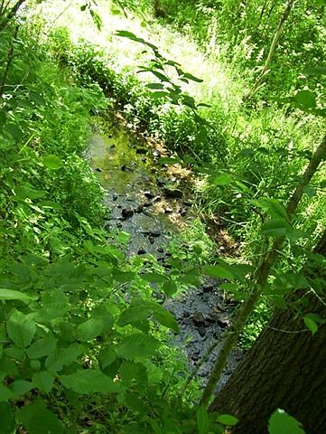 2nd image of L1 Goose Creek Rd
