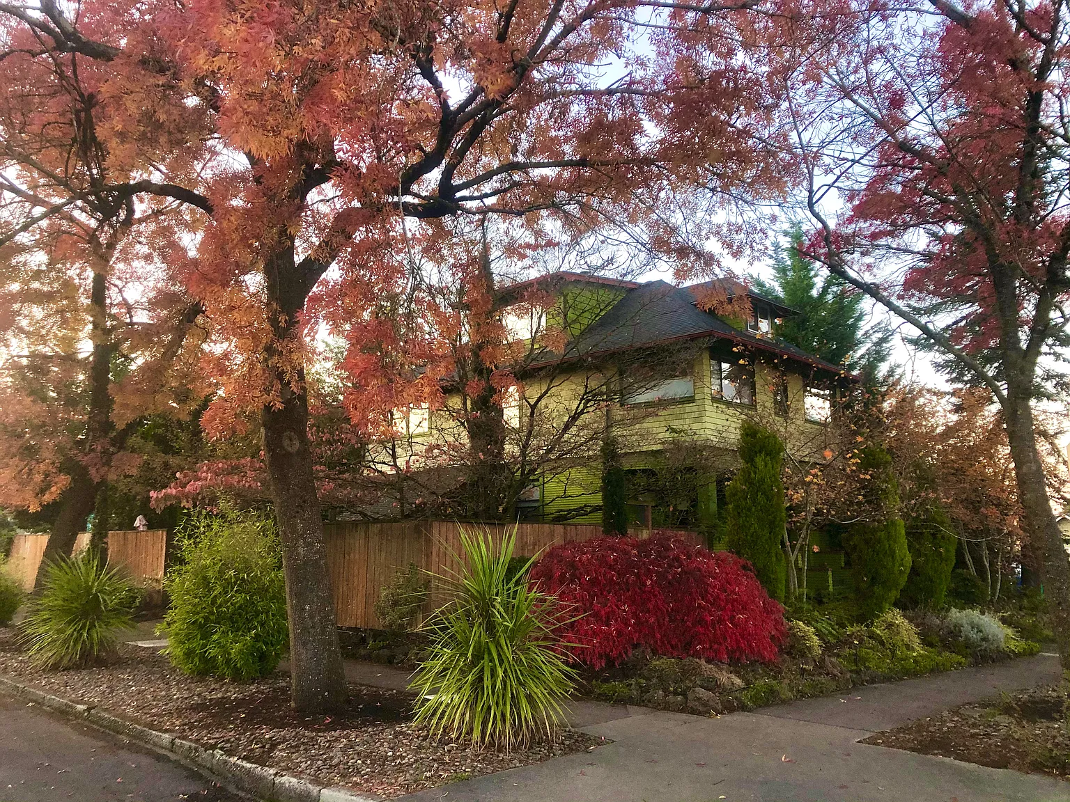 N Montana Ave, Portland — Photo 1