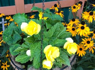 37 Riverside Ln, Palm Coast, FL 32164