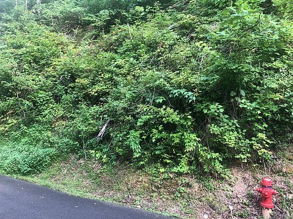 2nd image of 576 Crooked Ridge Rd