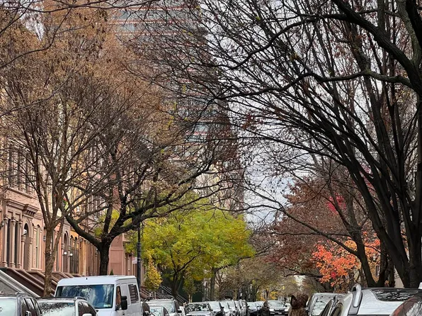 56 West 119th Street image 2 of 11