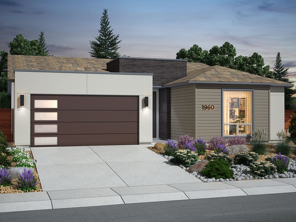 American Contemporary - Scheme 5
