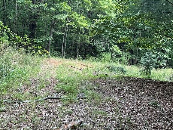 5th image of Lot #46 Pine Cove Lane
