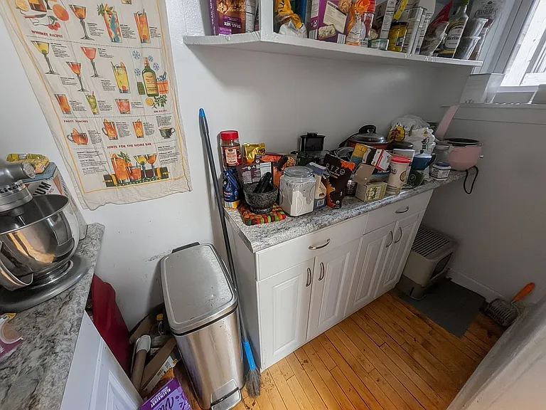 1308 W Rosemont Ave #1 — Photo 19