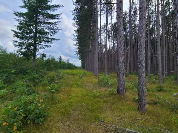 Grouse Ln, Crivitz, WI 54114
