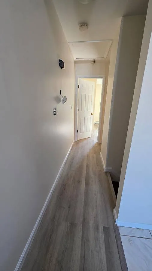 1 bed, $1,300 — Photo 3