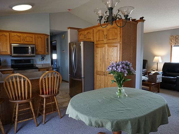 Stainless appliances