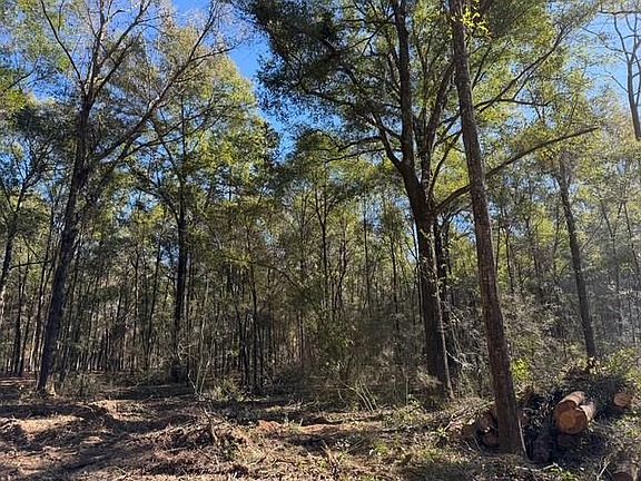 5th image of 0 Danner Rd Lot 9