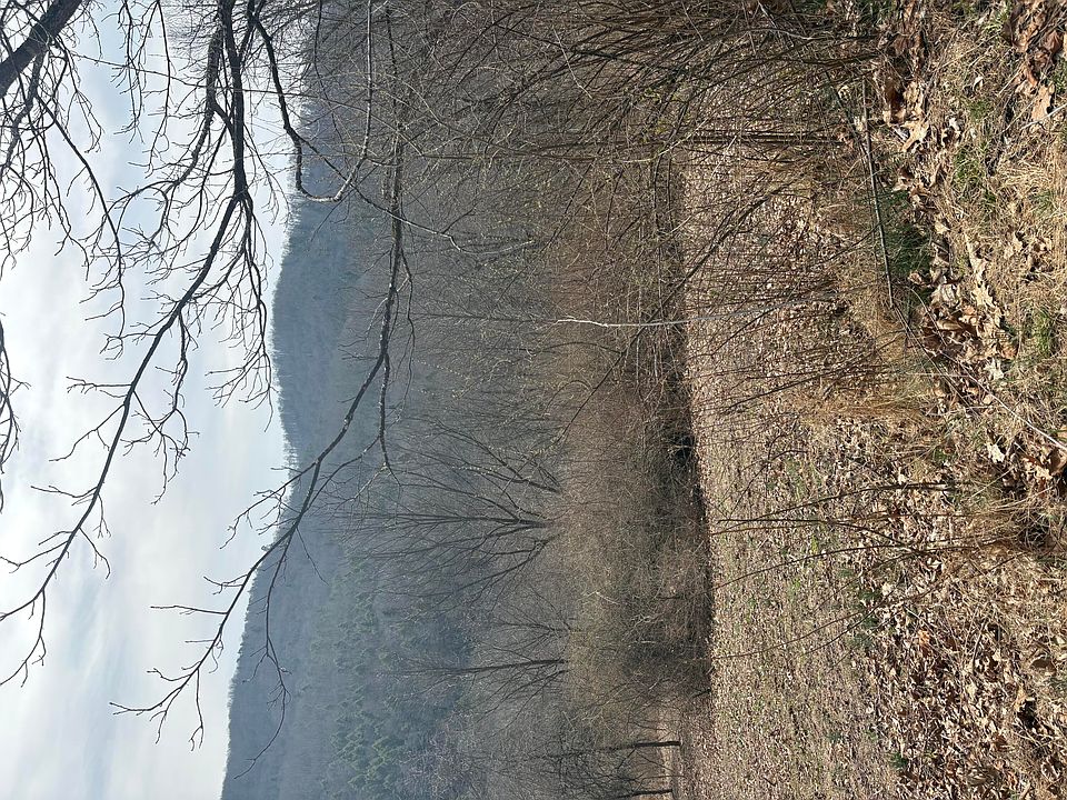 2nd image of Hillside Bluffs Ln