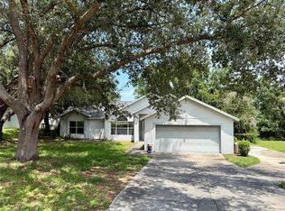 10258 Joanies Run, Leesburg, FL 34788