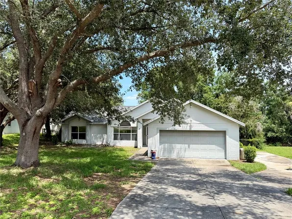 10258 Joanies Run, Leesburg, FL 34788