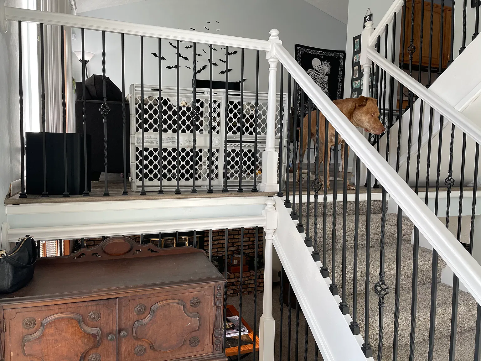 3 bed, 2.5 bath, 1624 sqft, $2,000 — Photo 4