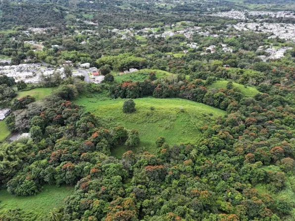 Finca Prairie Km #928-5.2, San Lorenzo, PR 00754