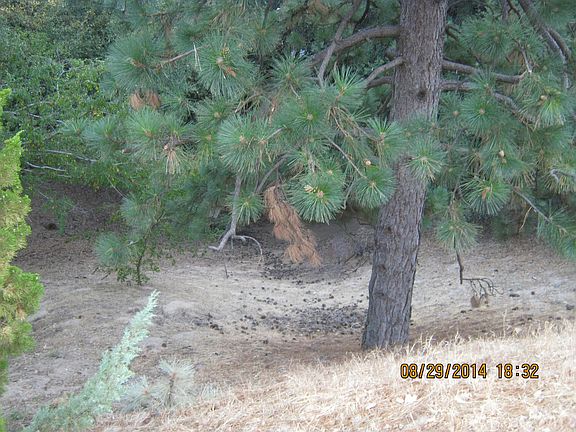 4th image of 464 Delle Dr