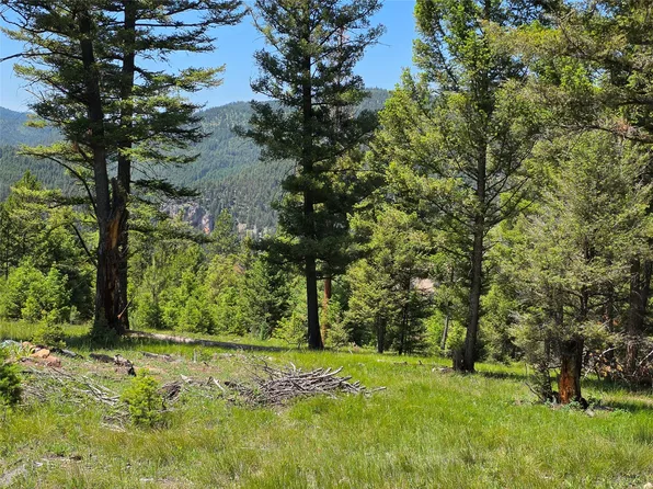 202 Packer Gulch Rd, Drummond, MT 59832