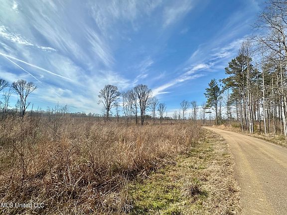 5th image of 3 Prentiss Crump Rd