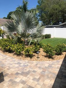 518 Macleod Ter, Dunedin, FL, 34698