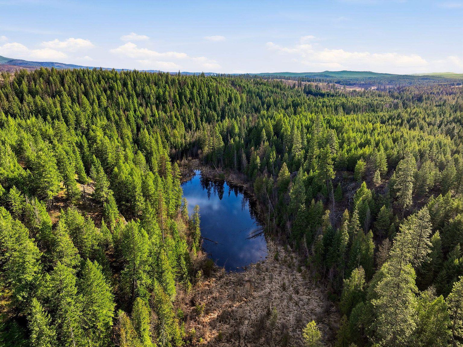 Nna Undisclosed Address, Elk, WA 99009 | MLS #202617661 | Zillow