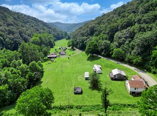 11733 Willey Fork Rd, Big Run, WV 26561