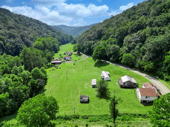 11733 Willey Fork Road, Big Run, WV 26561