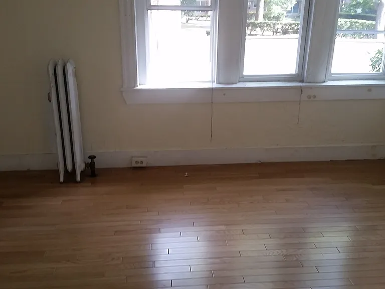 63 Egmont St #1 — Photo 4
