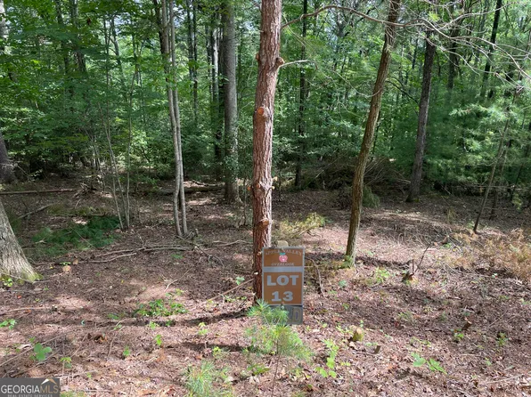 LOT 13 Sour Apple Ln, Blairsville, GA 30512
