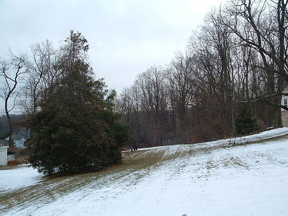 Backs Up to Shank Park