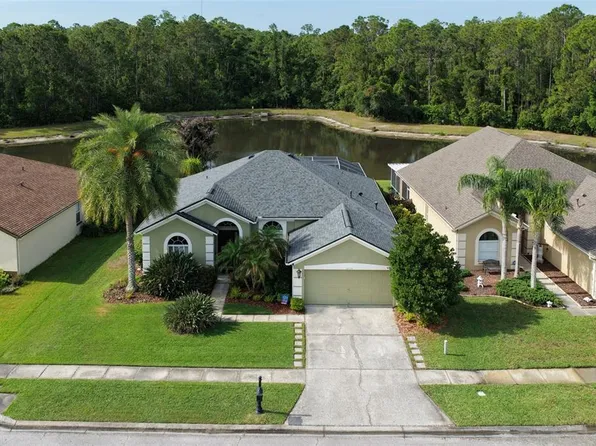 12730 Tar Flower Dr, Tampa, FL 33626