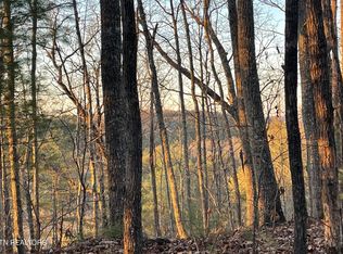 0 Gold Miners Ln, Tellico Plains, TN 37385