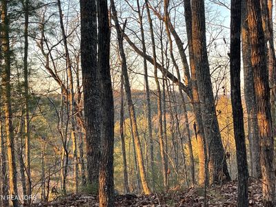0 Gold Miners Ln, Tellico Plains, TN, 37385