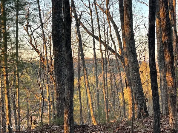 0 Gold Miners Ln, Tellico Plains, TN 37385