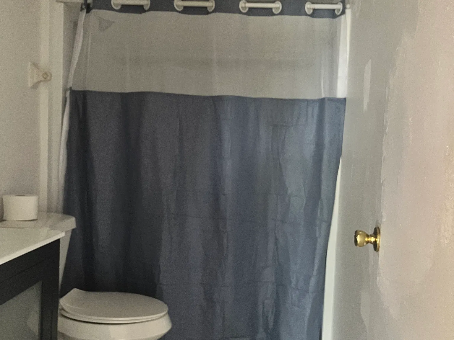 2 bed, 1000 sqft, $1,750 — Photo 3