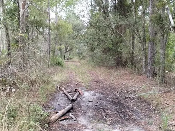 227 SE 8th Ave, Palatka, FL 32177