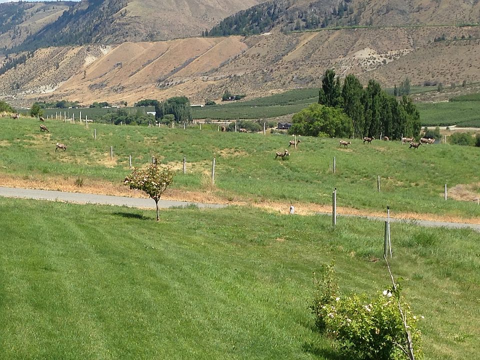 Expansive views