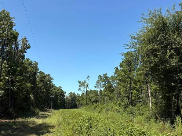 1 Fm 1005, Jasper, TX 75951
