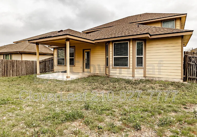 3734 Ox Eye Daisy — Photo 44