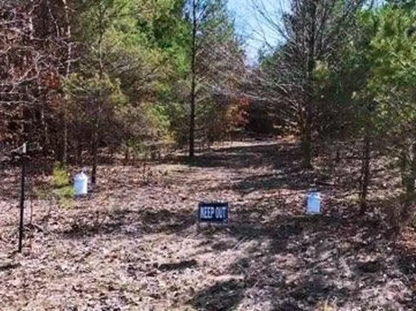 V/l W, Rothbury, MI 49452