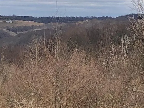 1190 Rowes Run Smock Rd, Smock, PA 15480