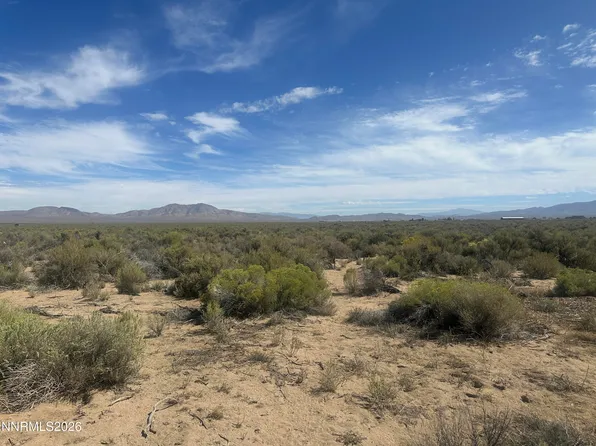 48 Burke Dr, Wellington, NV 89444