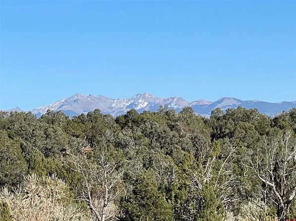 TBD Road S.65, Dolores, CO 81323