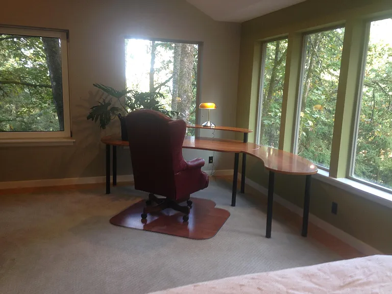 3779 Pine Canyon Dr — Photo 11