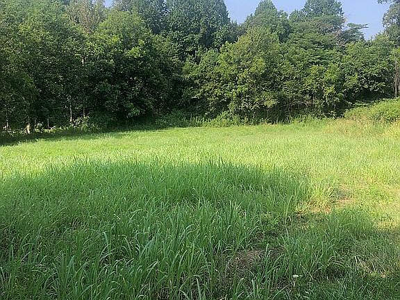 From Barn area looking SW