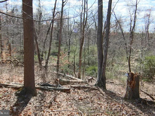 0 S Forge Rd, Palmyra, PA 17078