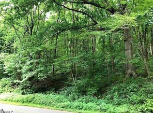 Skyuka Mountain Rd, Columbus, NC 28722