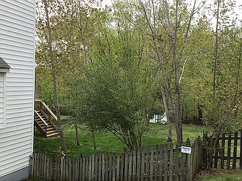 3rd image of 13203 Willow Point Dr