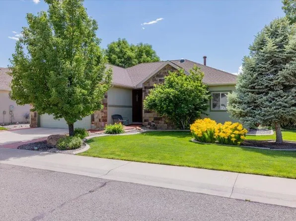 3710 Lone Tree Ln, Montrose, CO 81403