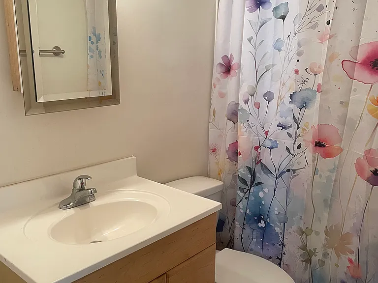 Ensuite bathroom