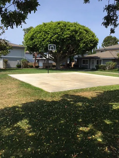 2 bed, 850 sqft, $2,600 — Photo 4