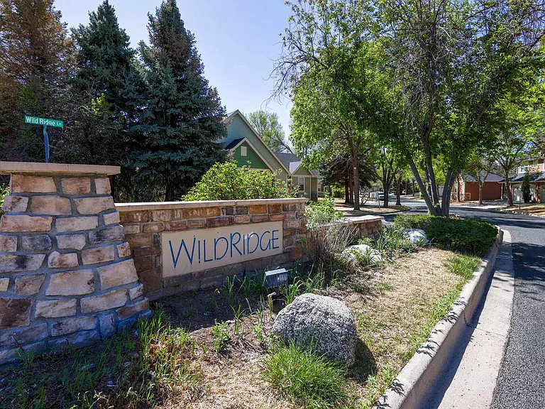 658 Wild Ridge Cir — Photo 44